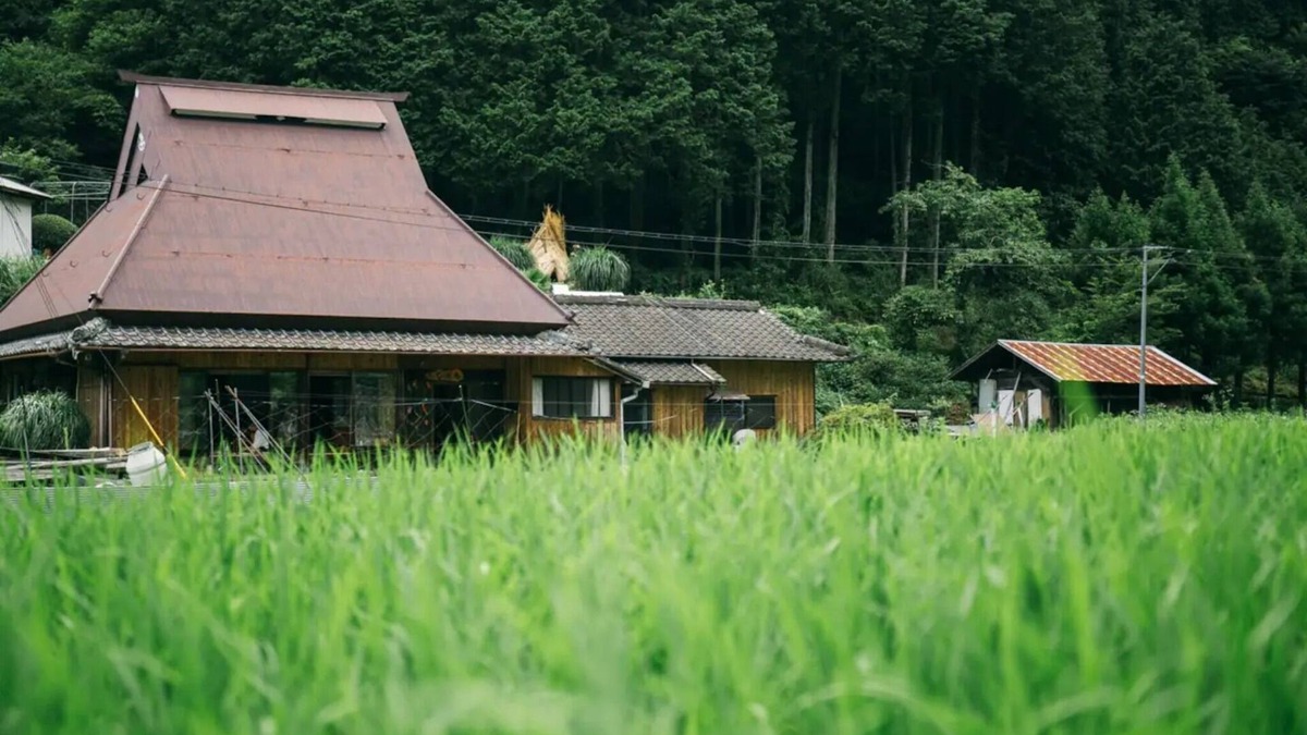 Katsuragi House | A thatchedroof farmhouse nestled in nature at the foot of Mount Koya/Ito-gun Wakayama