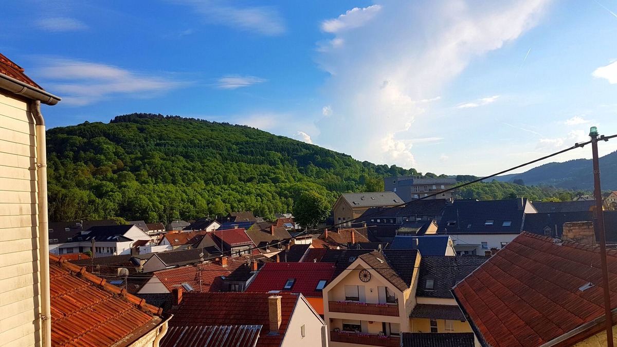 Bollendorf House | A trip into nature