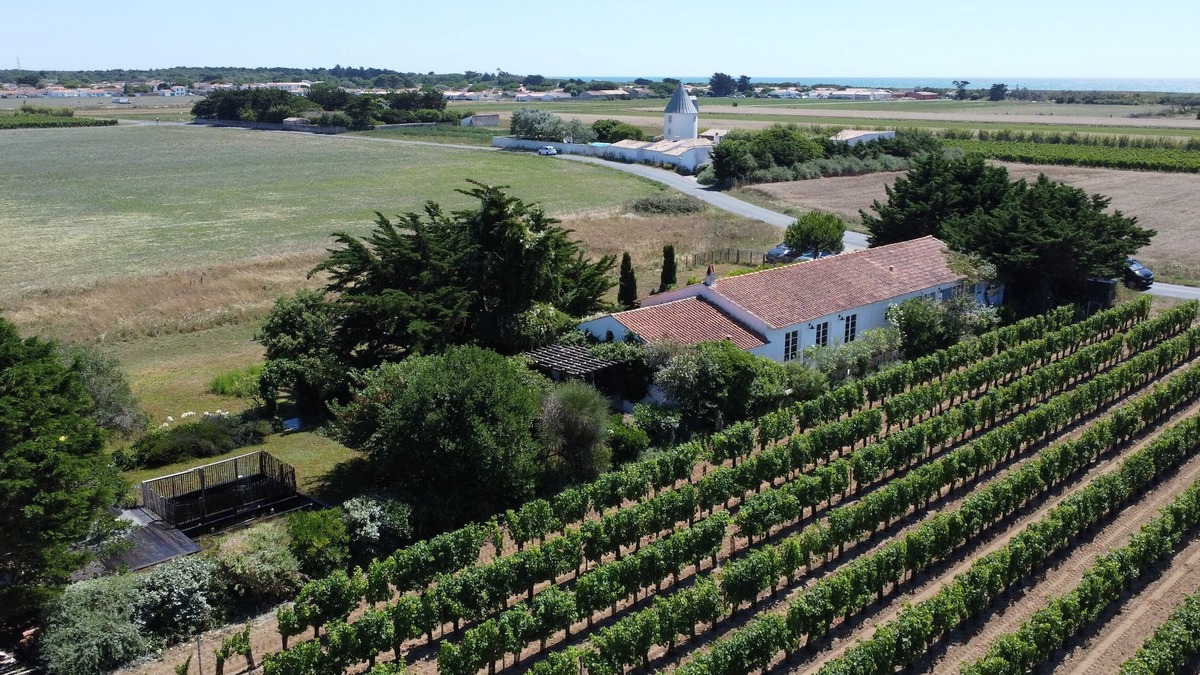 Saint-Clement-des-Baleines House | A unique house surrounded by an amazing garden - Sleeps 12- Ile de Ré