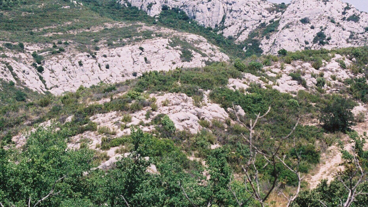 Peypin Villa | A villa in the heart of nature