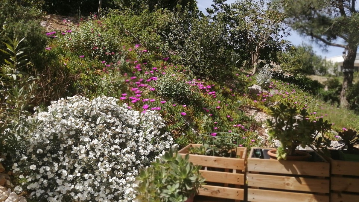 Bonneveine Bed & Breakfast | A well-appointed B&B close to the beach, ideal for a traveling couple.