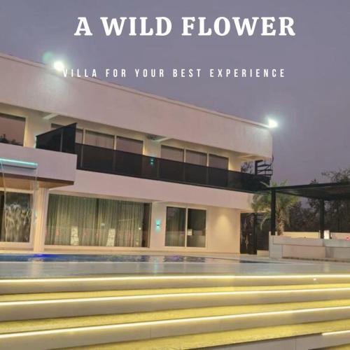 Amarnath Villa | A Wild Flower