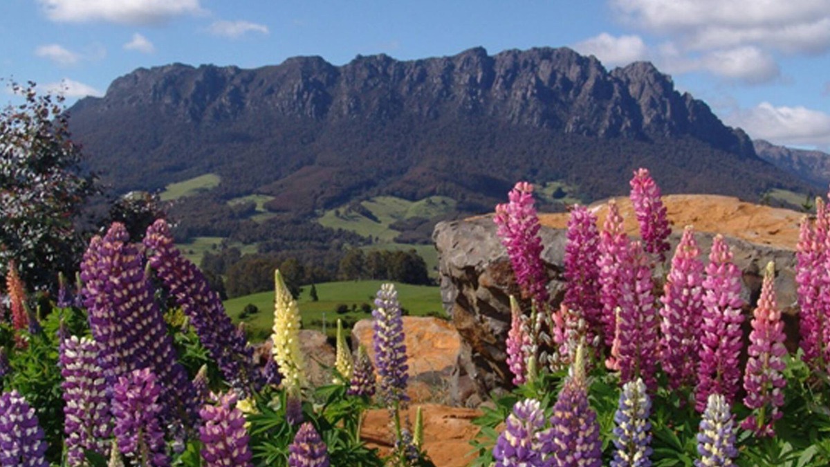 Promised Land Cottage | AAA Granary Accomm - Dads 3 bedroom Cottage