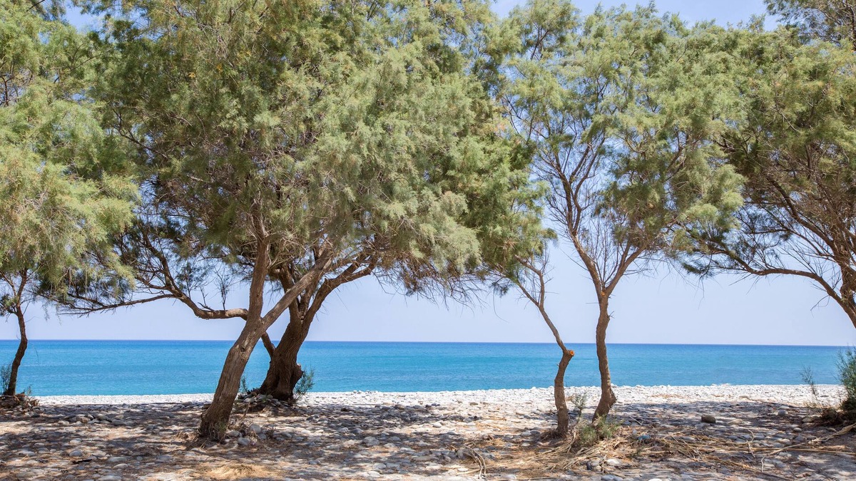 Kamisiana House | Aadonis Villa