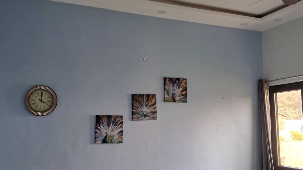 Taoru Other | Aarul Farms 3 nn