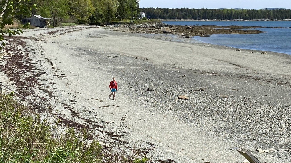 Trenton House | Acadia National Park Seaside Briar Rose by the Sea! Sleeps 15-15 min to Acadia!