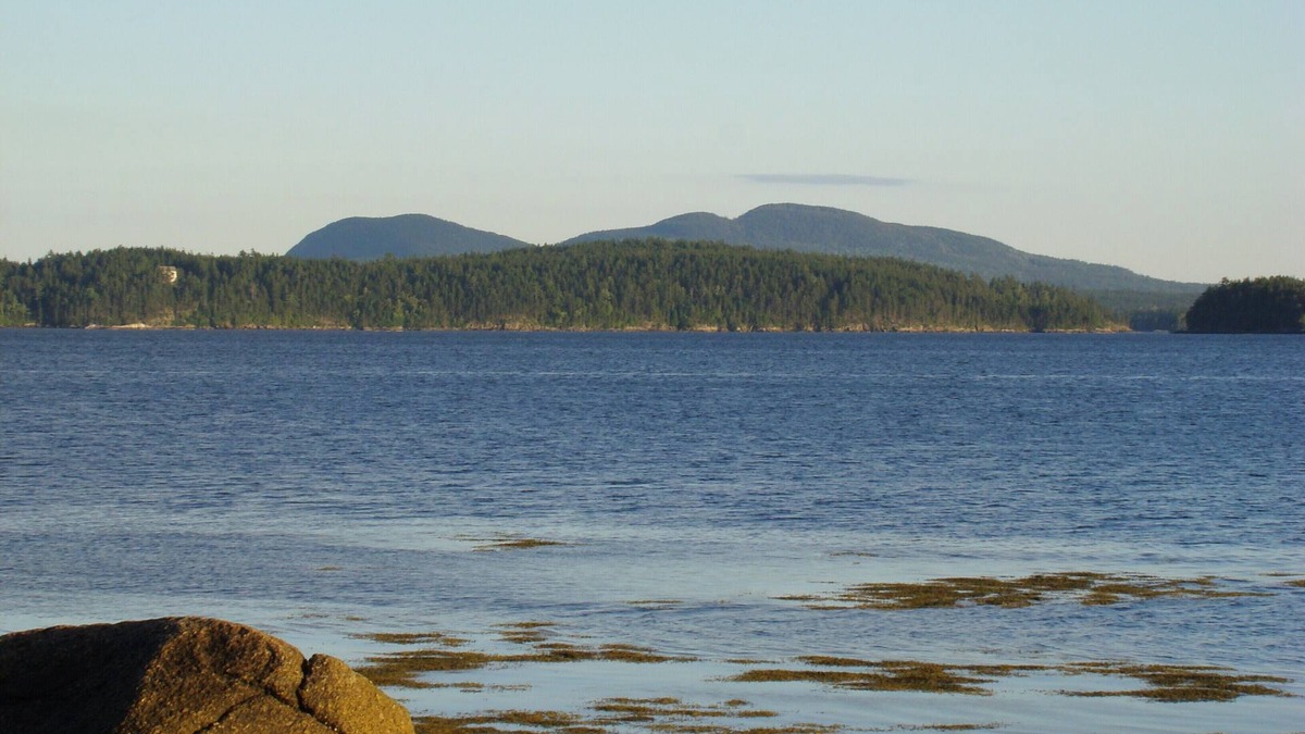 Trenton House | Acadia National Park TWO Seaside adjacent Houses! Sleeps 20 15 min to Acadia!