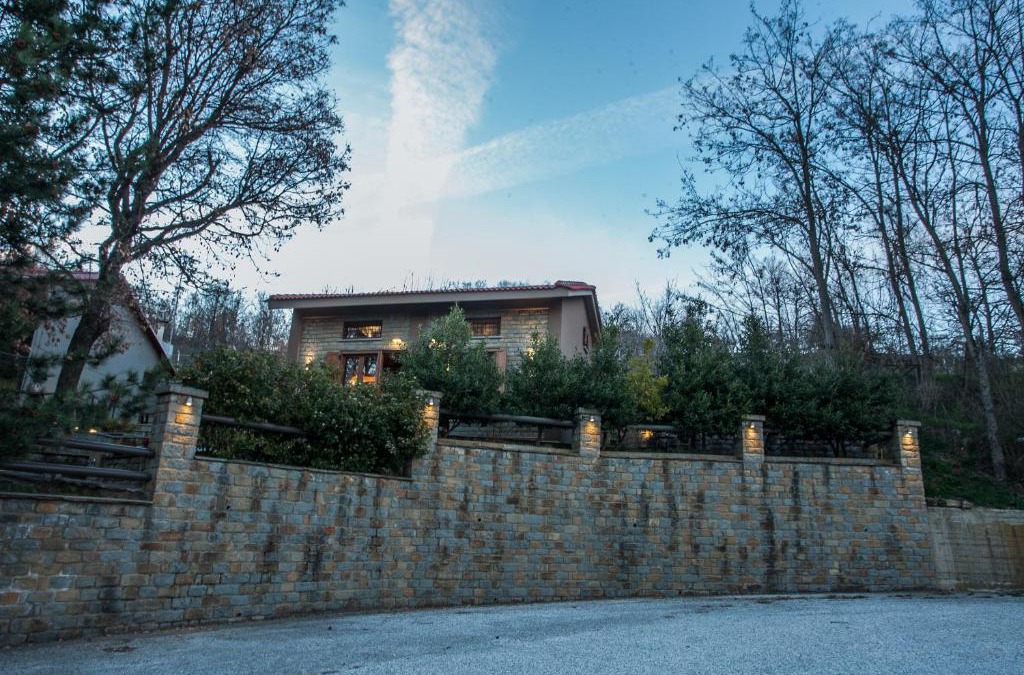 Aetia House | Acorn's Houses, Gray and Green Acorn