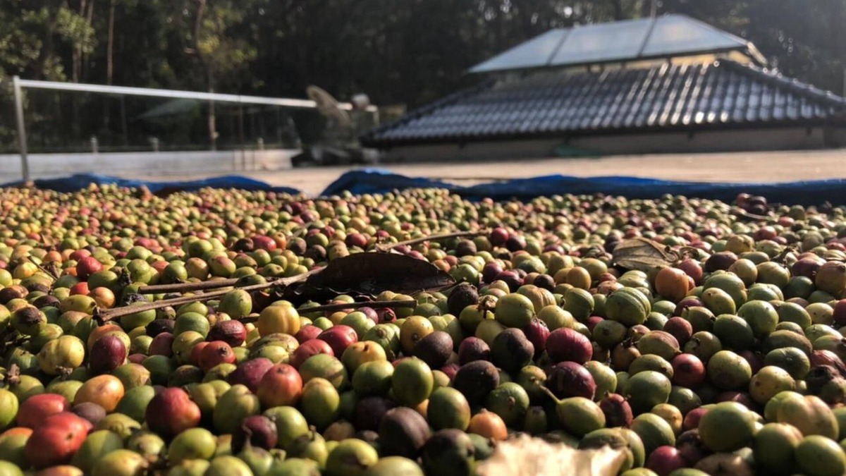 Samse House | Adi's Home - with water falls