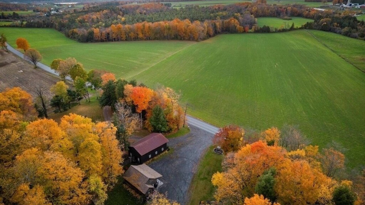 Warren Cabin | Adorable Cabin. Cozy & comfy. Coffee bar, firepit, horseshoes, hammock, grill