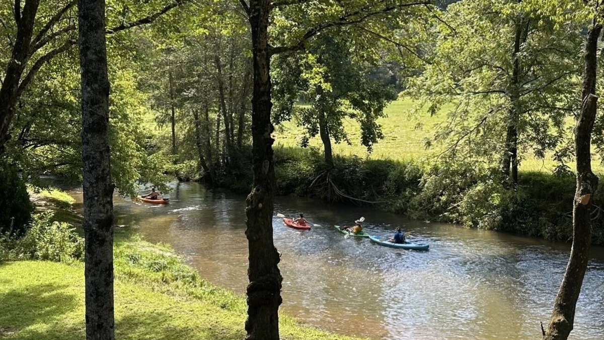 Mineral Bluff Cabin | Adorable, cozy, waterfront cabin on the River, fish, kayak, tube from property.