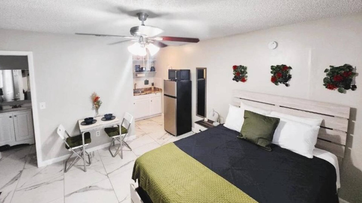 Lake Magdalene Apartment | Adorable Mini Suite in Tampa