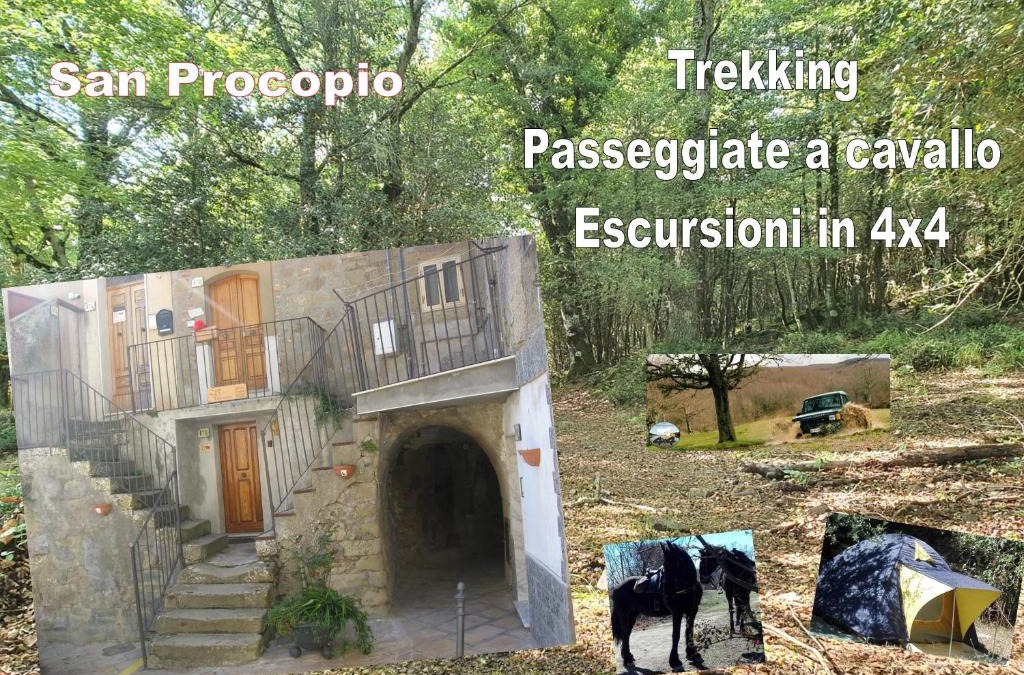 Troina House | affitta camere San Procopio