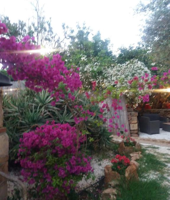La Banca House | Affittacamere CALAMOSCHE