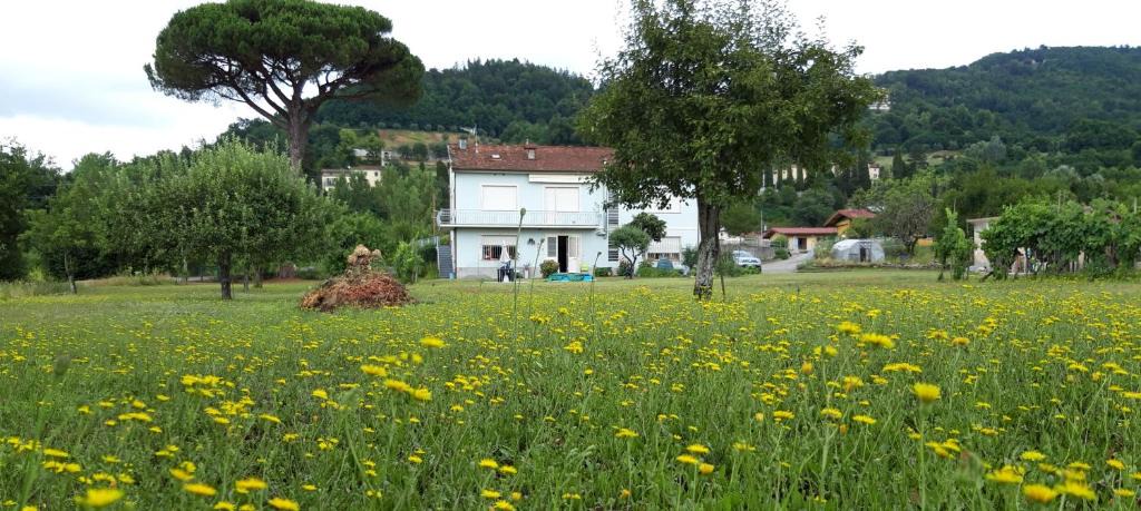 Castelvecchio Pascoli House | Affittacamere La Foresta di Sopra