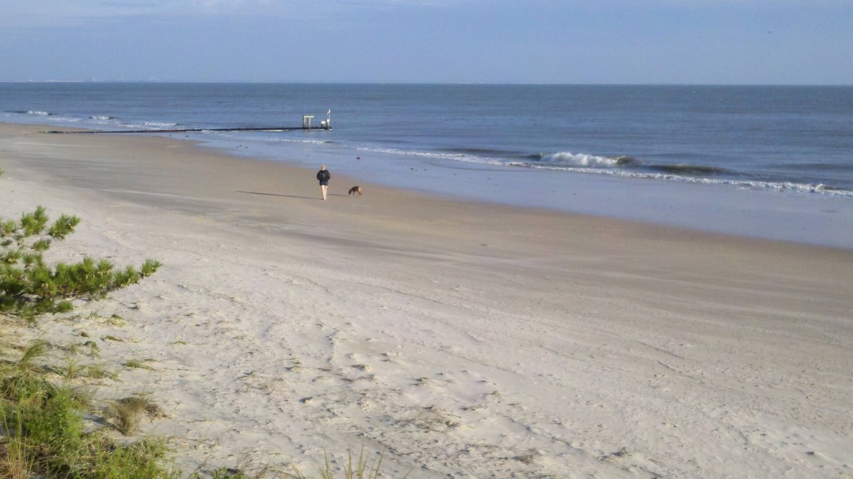 Cottage Line Apartment | Affordable Beach Vacation 50 Steps from Ocean View Beach
