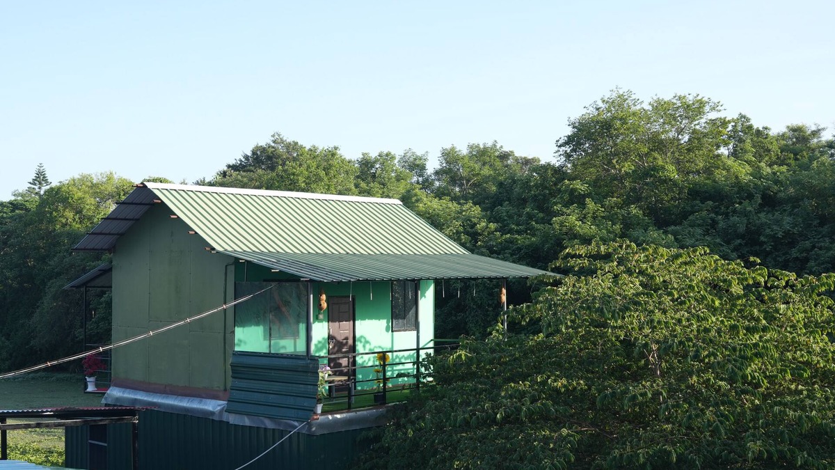 Masinagudi Other | Affordable Family homestay ,Bachelor homestay with Jungle safari In Masinagudi