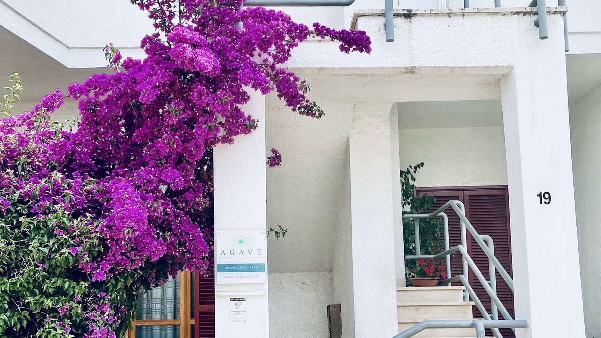 Campi Salentina House | Agave Bed and Breakfast