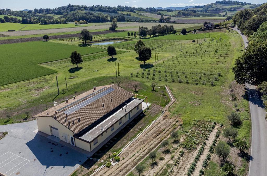 Bertinoro House | Agrestia azienda agricola