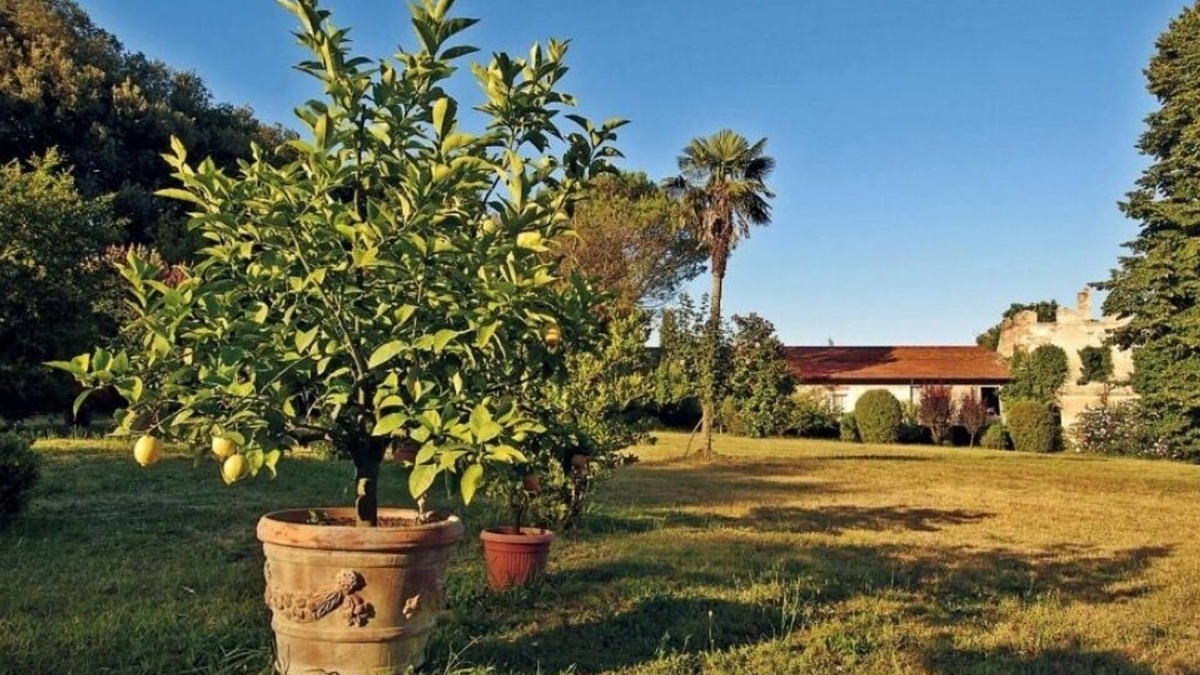 Vicopelago Other | AGRITOURISM FARM BIGONGIARI