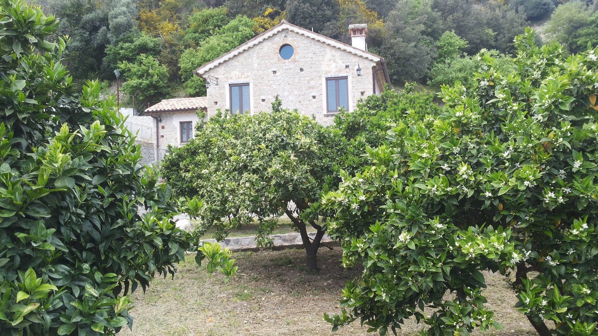Stilo Other | Agriturismo Casato Ruggero