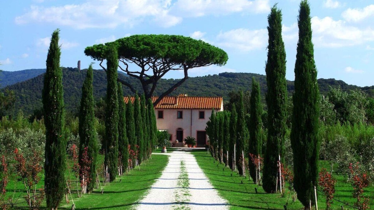 Donoratico House | Agriturismo Ceralti - Ginestra