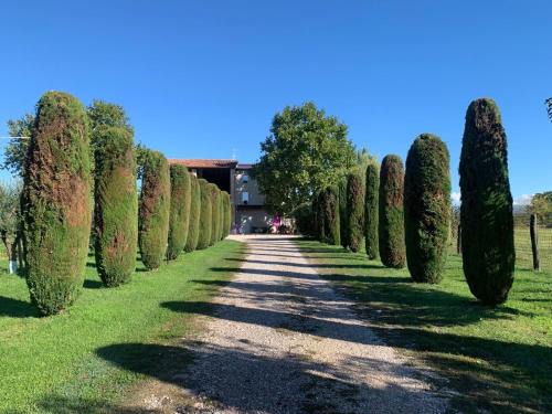 Pescantina Apartment | Agriturismo Corte Bonetti - Appartamento i Cipressi