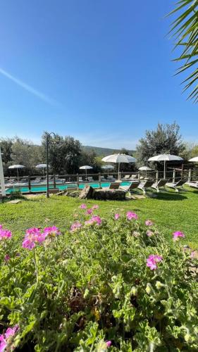 Monterotondo Marittimo House | Agriturismo e Glamping Serraiola Alta