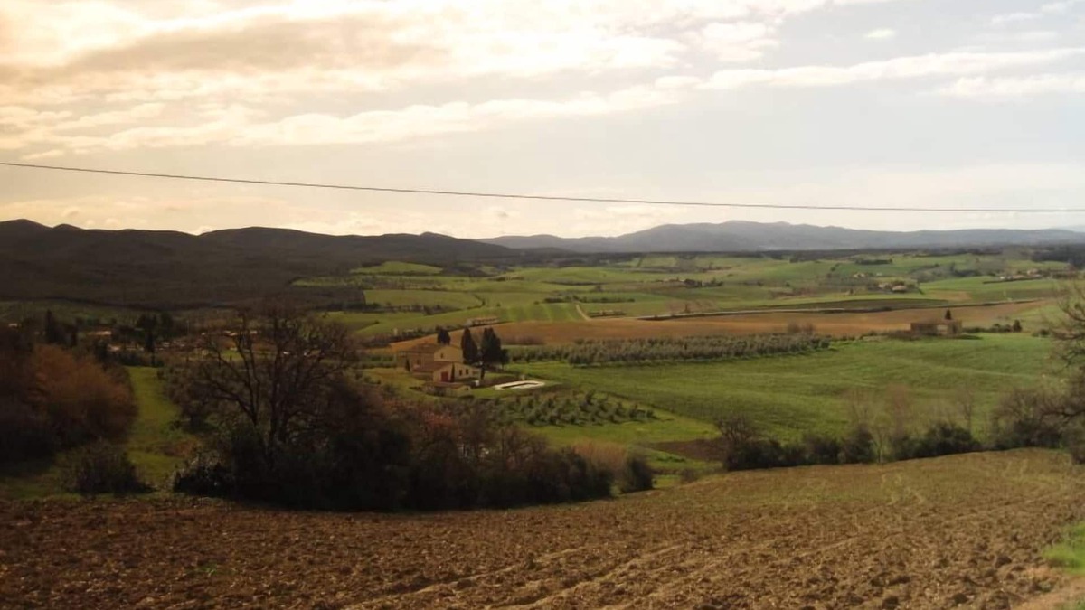 Casale Marittimo Other | AGRITURISMO FATTORIA PODERE I LUOGHI