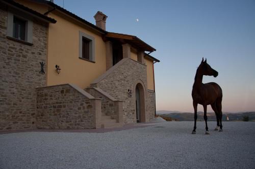 Padule House | Agriturismo Il Moro