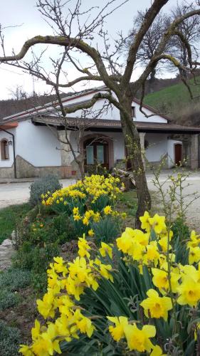Baselice House | Agriturismo Il Regio Tratturo
