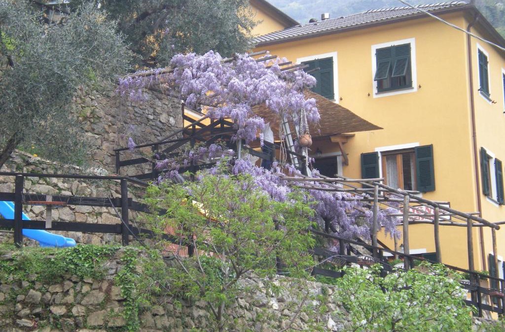 Lorsica House | Agriturismo Il Sogno