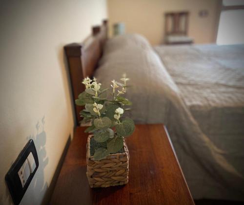 Trecenta Bed & Breakfast | Agriturismo La Bisa