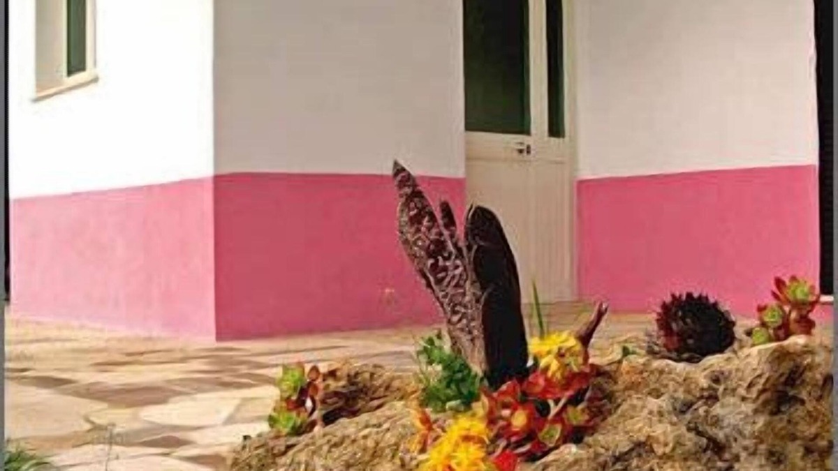 Alessano House | Agriturismo La Natura
