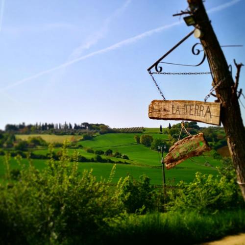 Ferretto House | Agriturismo La Terra