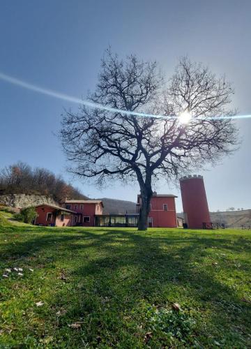 Fabriano House | Agriturismo La Vita è Bella