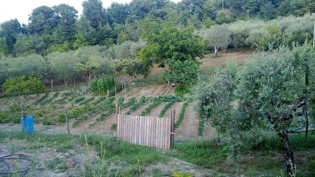Felitto Other | Agriturismo le Cammarose