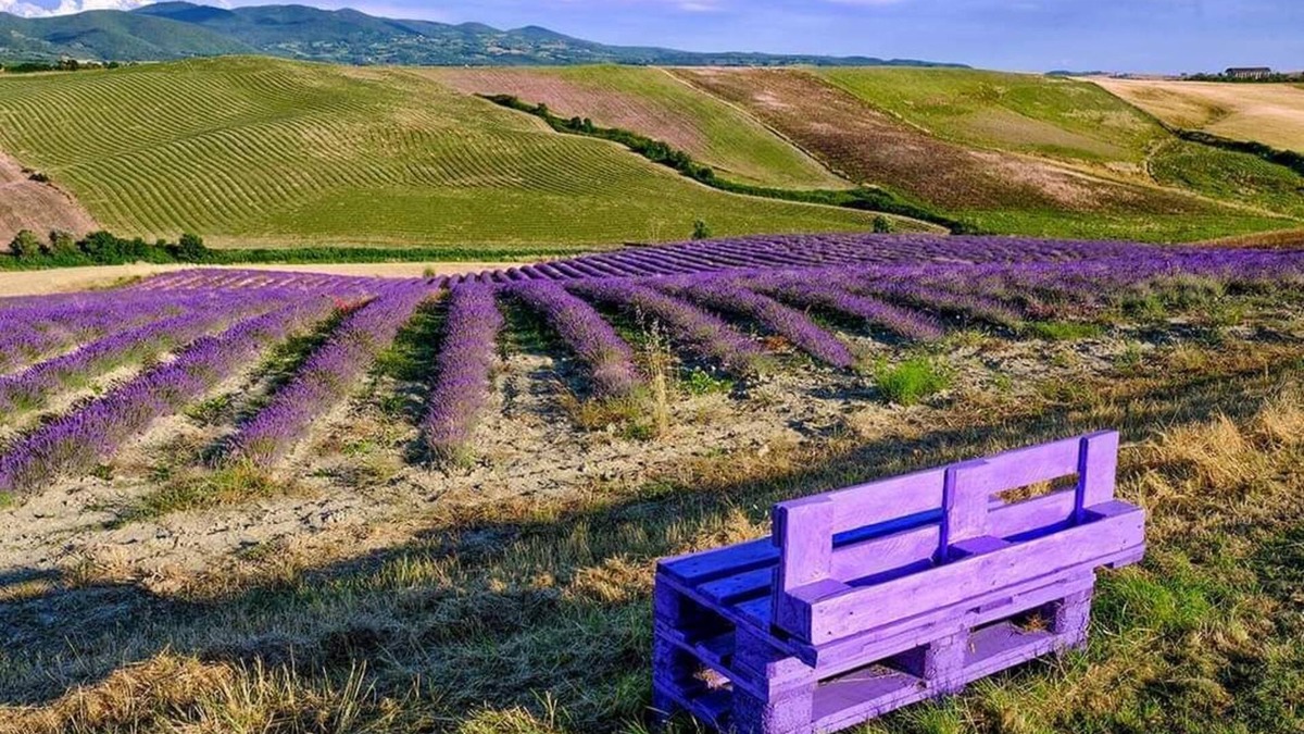 Pieve di Santa Luce Other | Agriturismo Mandriato by Toscana Family Holidays