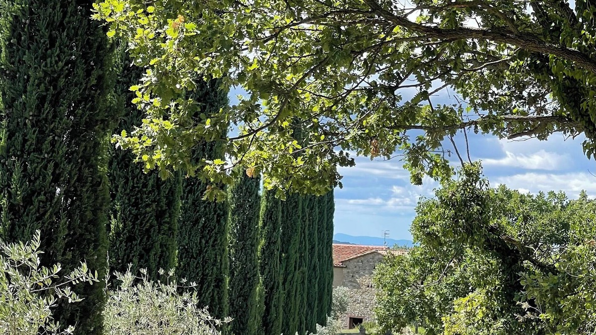 Sorano Other | Agriturismo Melodie Toscane