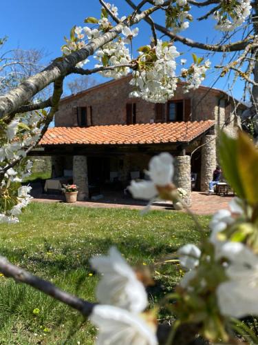 Massa Marittima Apartment | Agriturismo Monte Gusciani