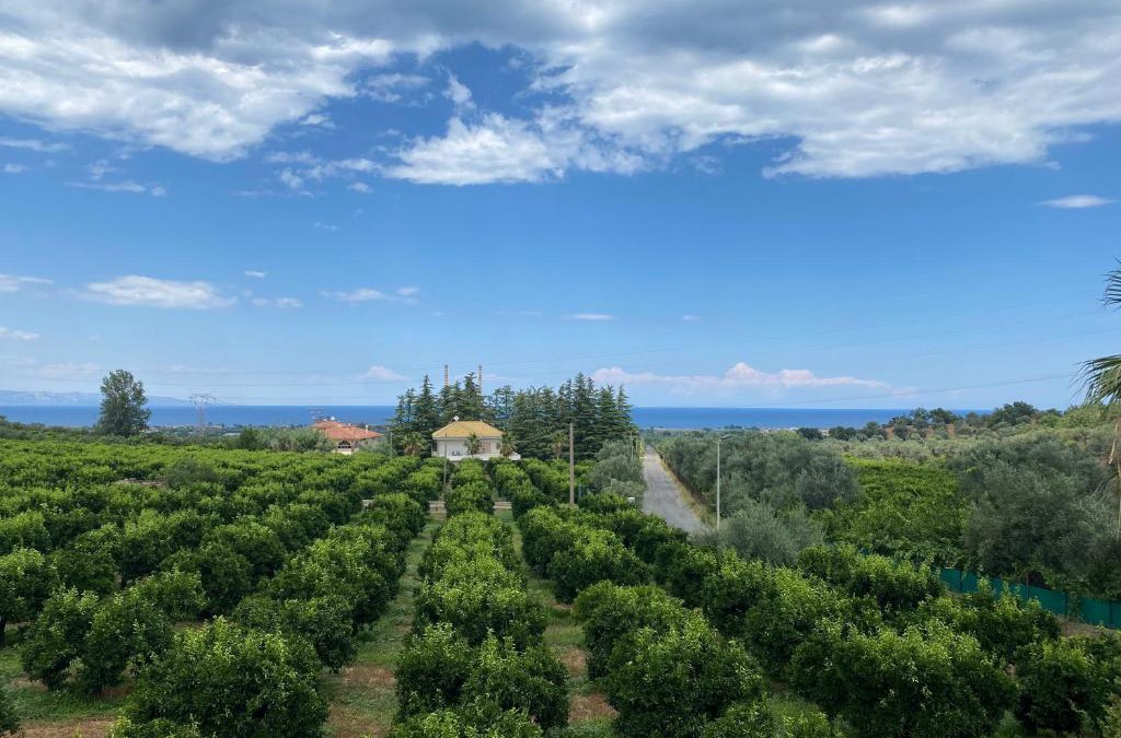 Rossano House | Agriturismo San Francesco