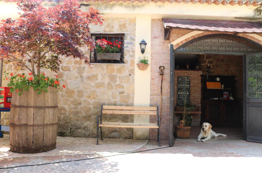 Centola House | Agriturismo San Leonardo