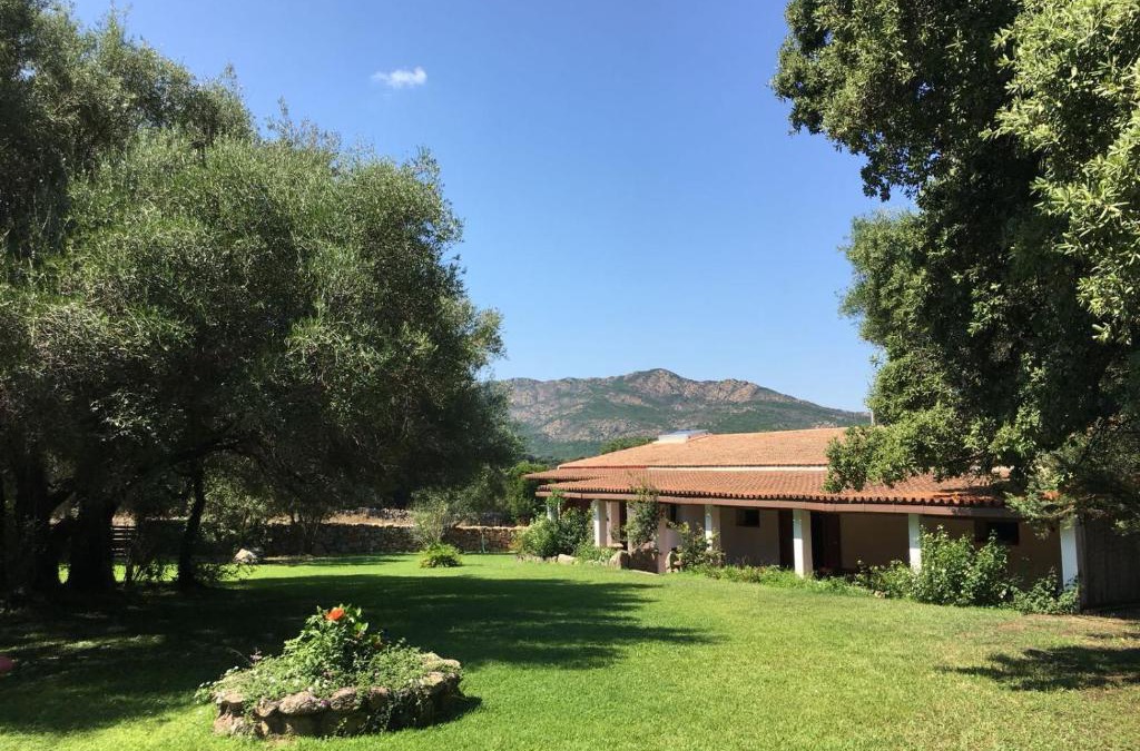 Sa Castanza House | Agriturismo Su Pirastru