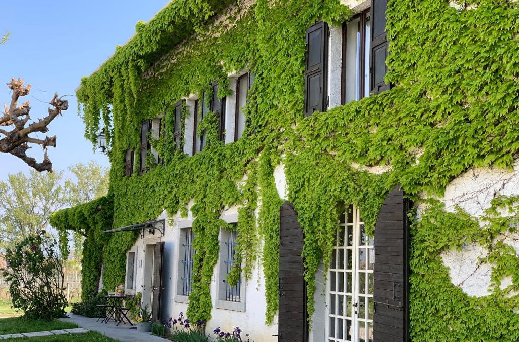 Buttrio House | Agriturismo Tra Le Vigne