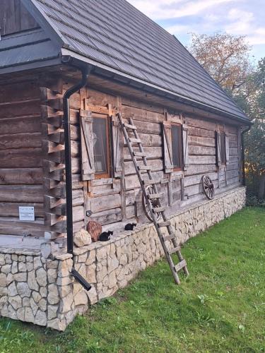 gmina Tereszpol House | Agroturystyka LipoweWzgórze domek Danusia