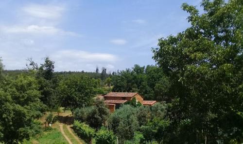 Moitas Apartment | Agua Azul poolside rest a luxurious rural woodland idyll