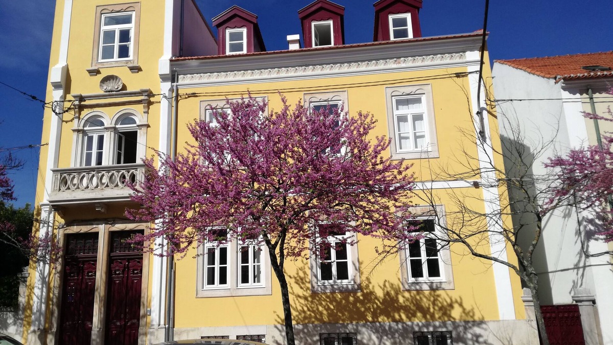 Se Nova Bed & Breakfast | Ah33 - Triple Studio - University and Historic Center