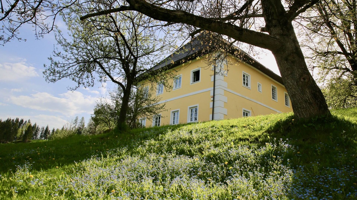 Gloednitz Other | Aichhof Castle, 800 years old, luxury on 400,000m2