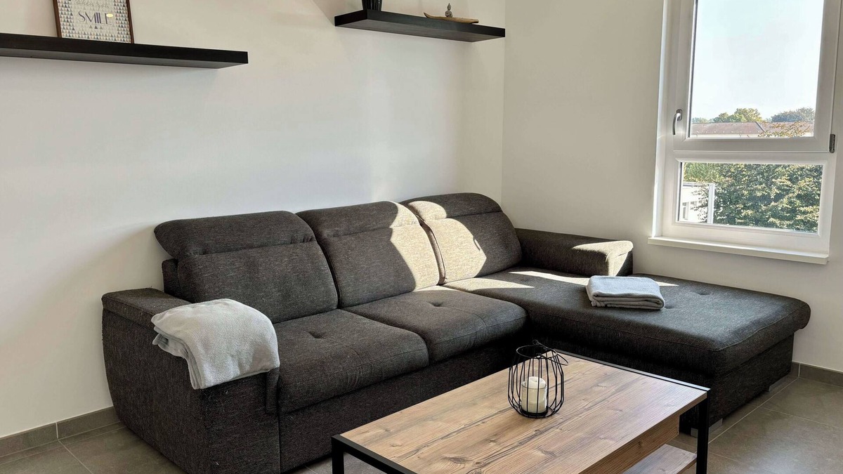 Illkirch-Graffenstaden Apartment | Air-conditioned Apartment with terrace