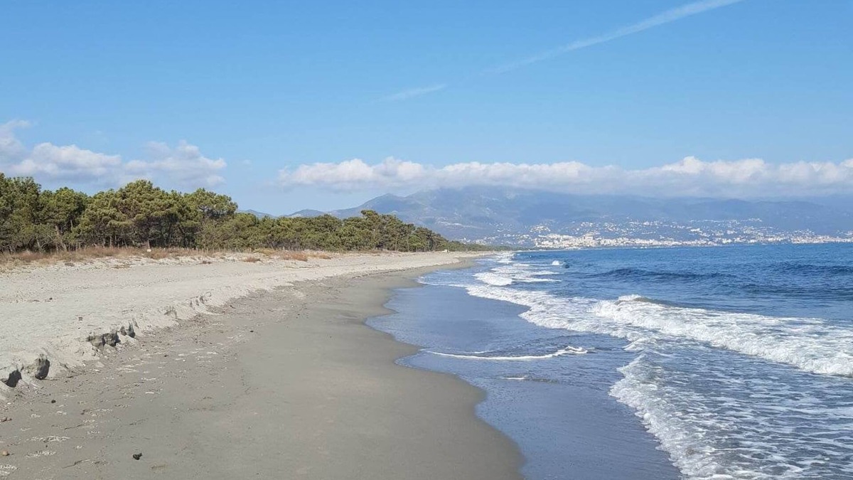 Pineto House | air-conditioned, comfortable house with direct beach access.